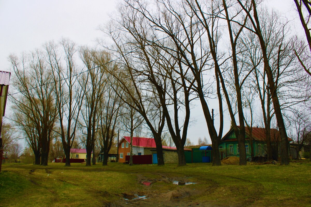 в селе