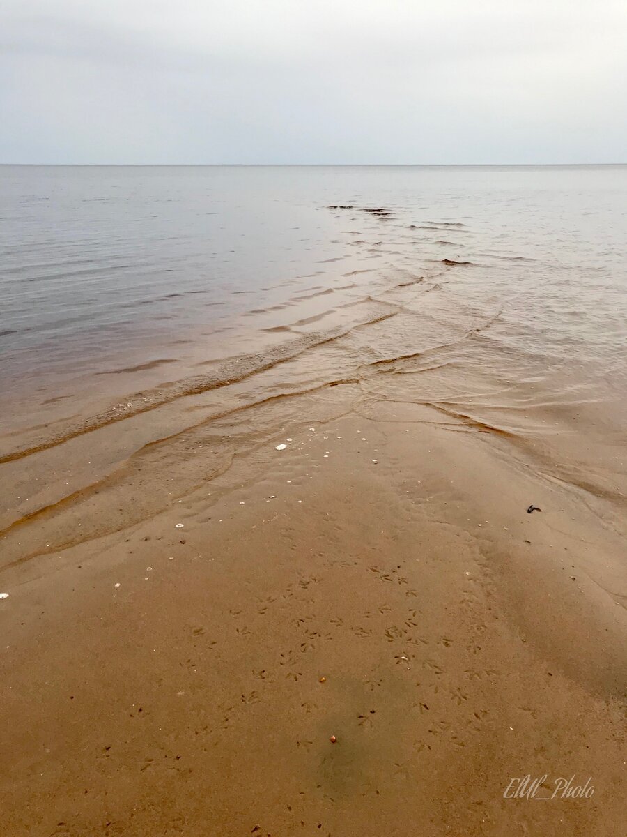 Белое море. Фото из личного архива.