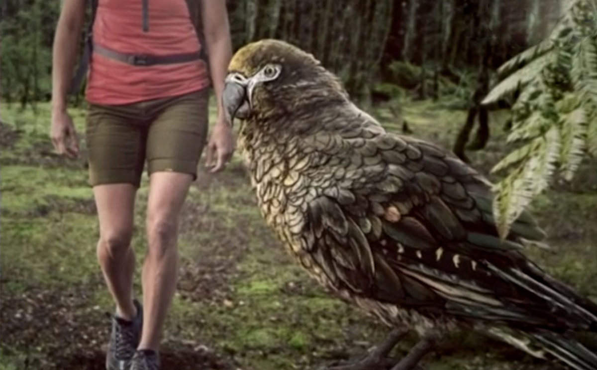 Когда твой попугай возвращается домой от бабушки после летних каникул. 