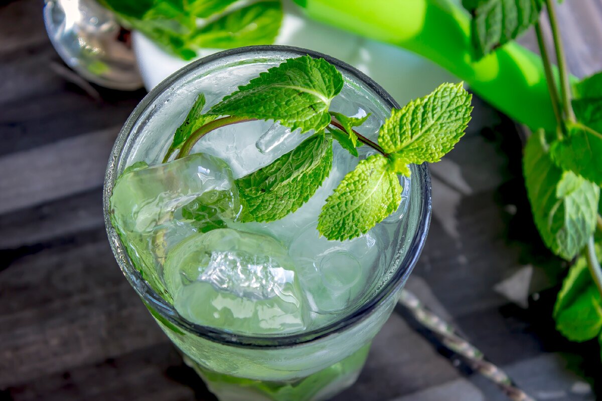 http://winedharma.com/en/dharmag/april-2015/mojito-recipe-and-ingredients-how-make-great-cuban-cocktail