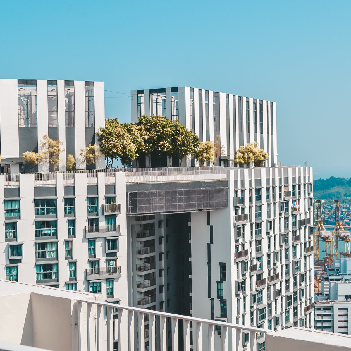 Skybridge на  50 этаже 