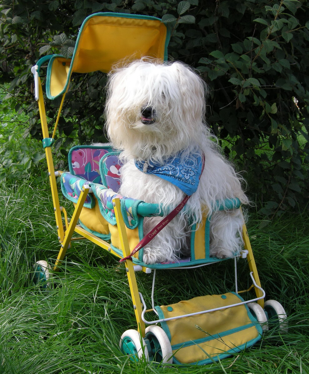 Фото из личного архива