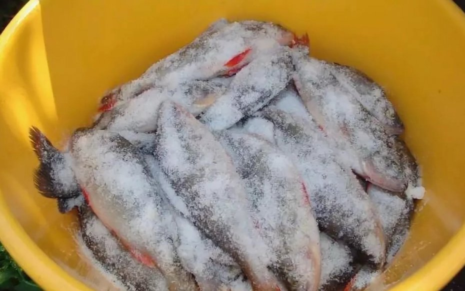 так выглядет рыба перед соленьем