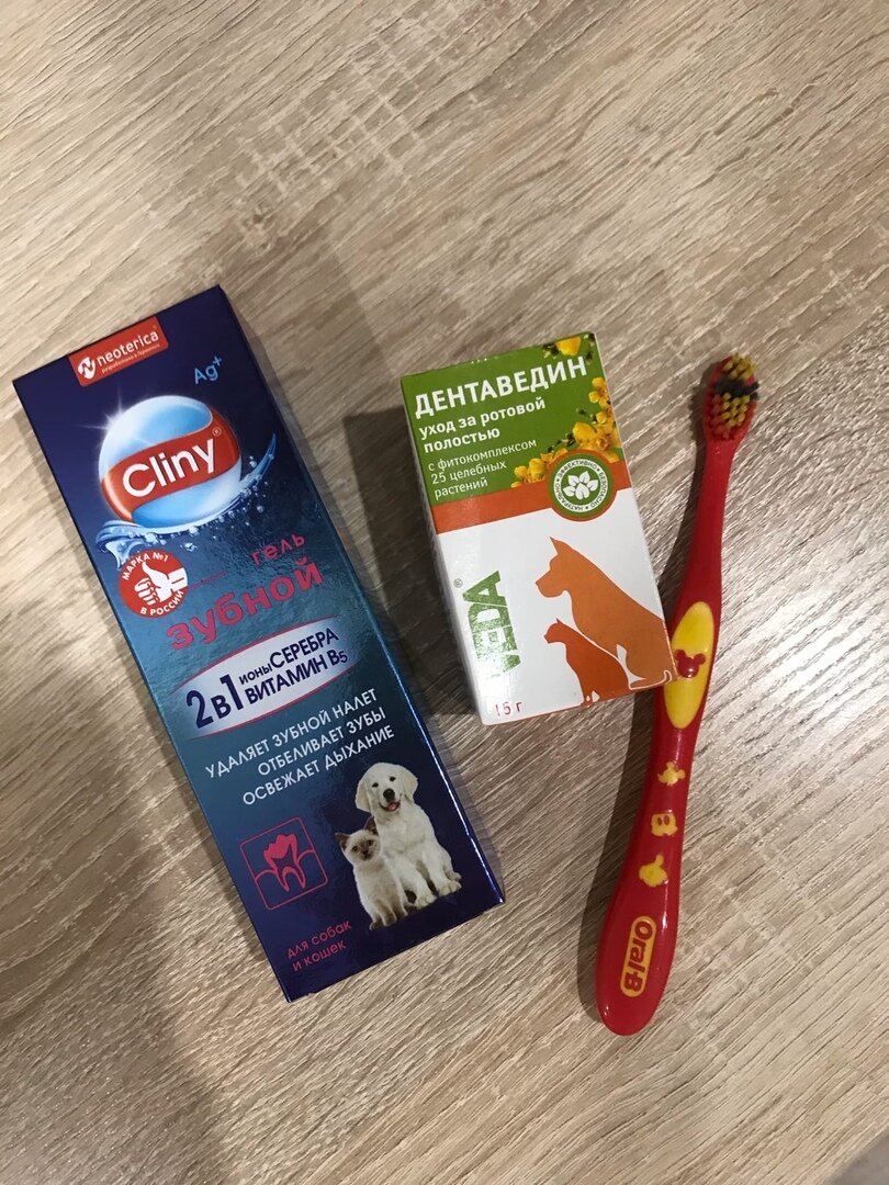 Наш набор (отрезали у детской щетки 60% щетины)