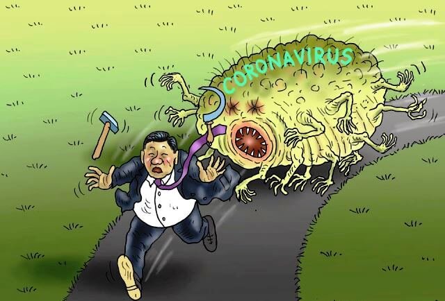 картинка из интернета