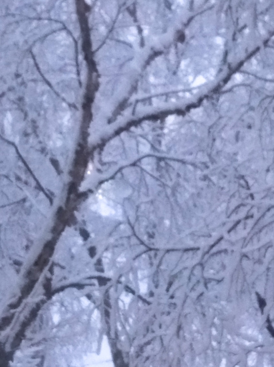 Недавний пейзаж из моего окна)