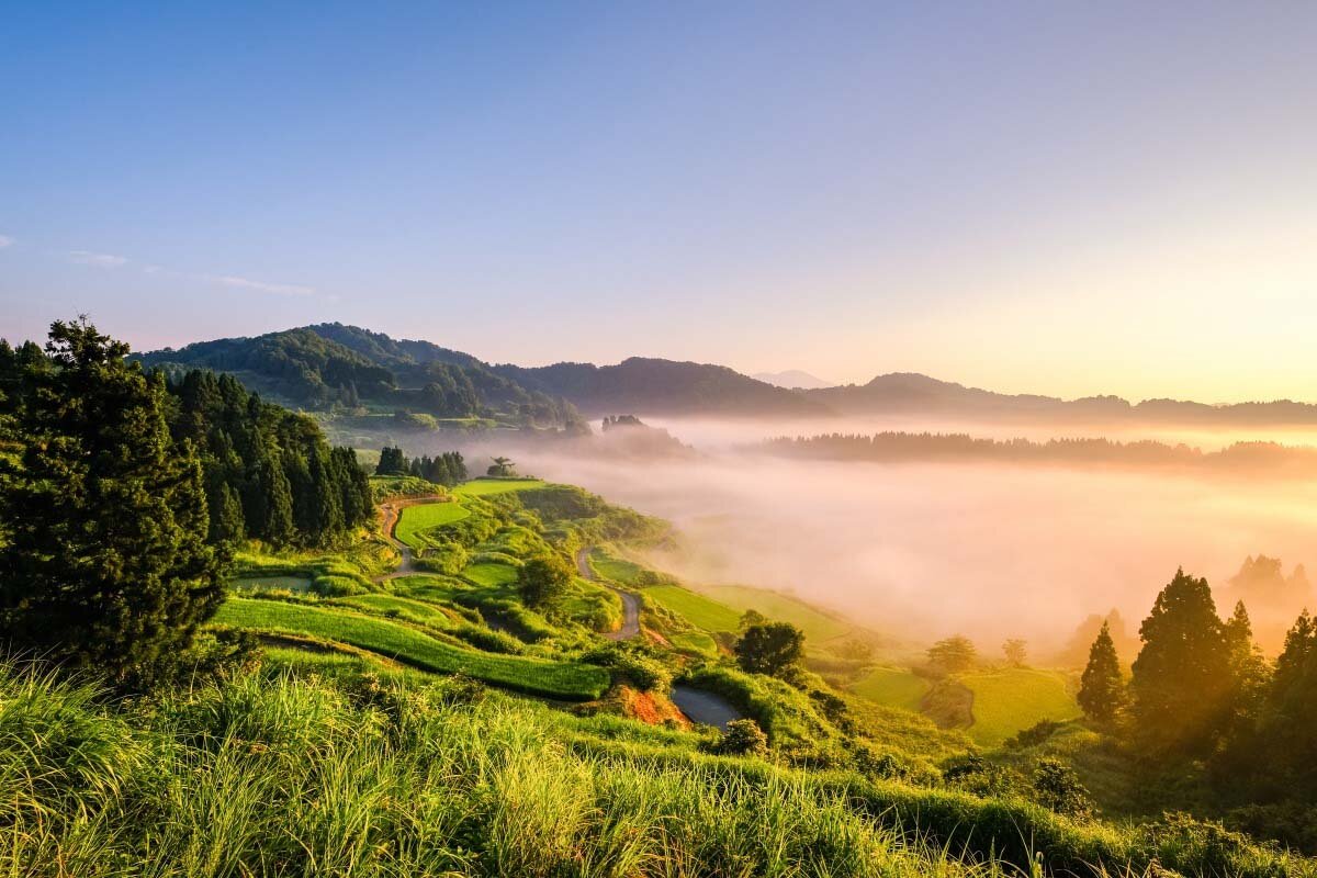 Рисовая терраса Хоситоге