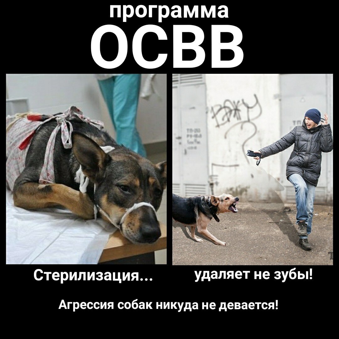 ОСВВ