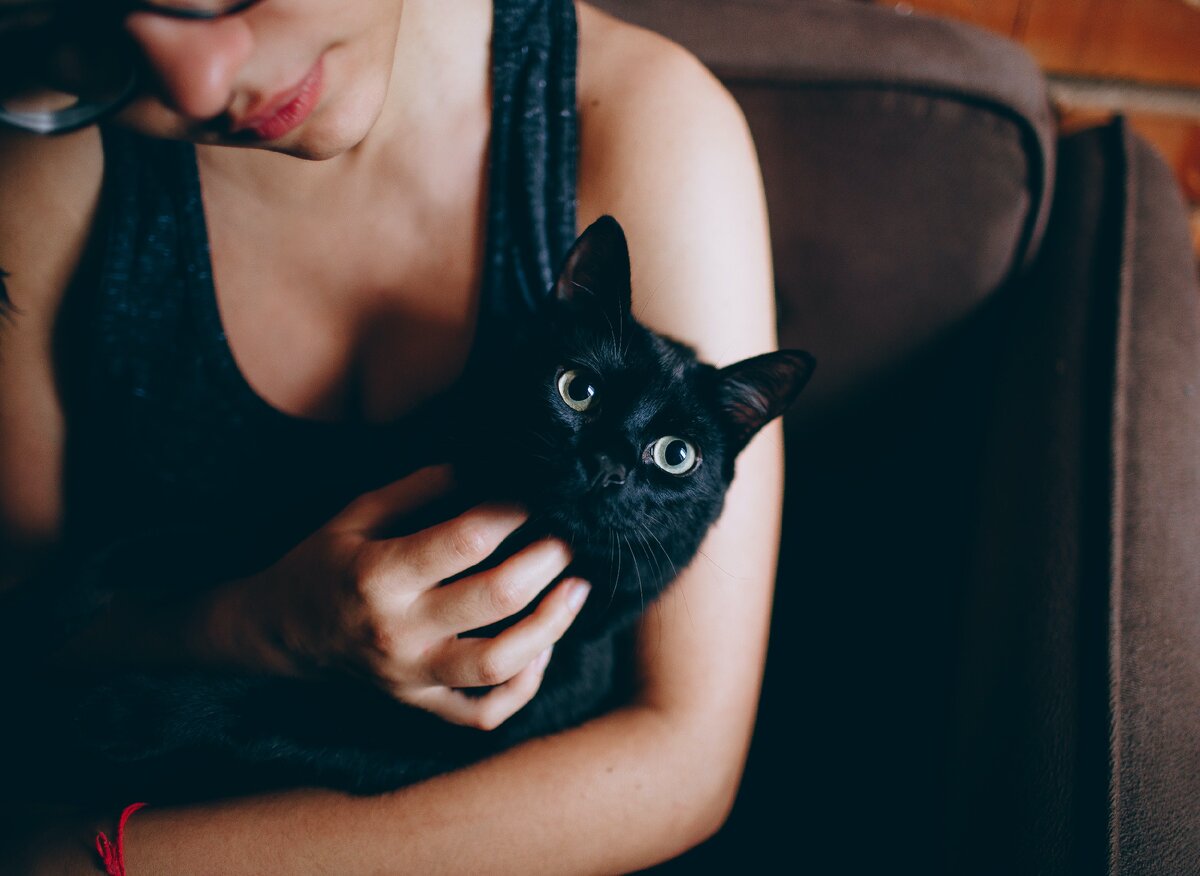 Источник https://www.pexels.com/