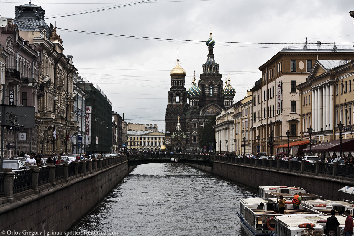 Фото Яндекс картинк