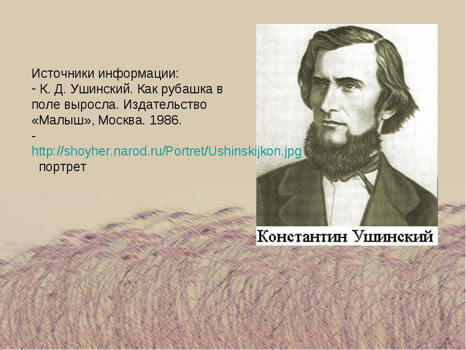 Ушинский как рубашка в поле выросла презентация