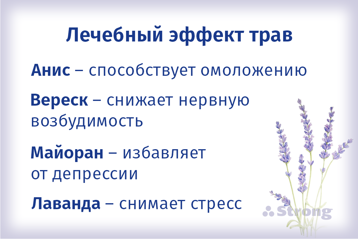 Какая трава для хорошего сна. Какая трава для хорошего сна