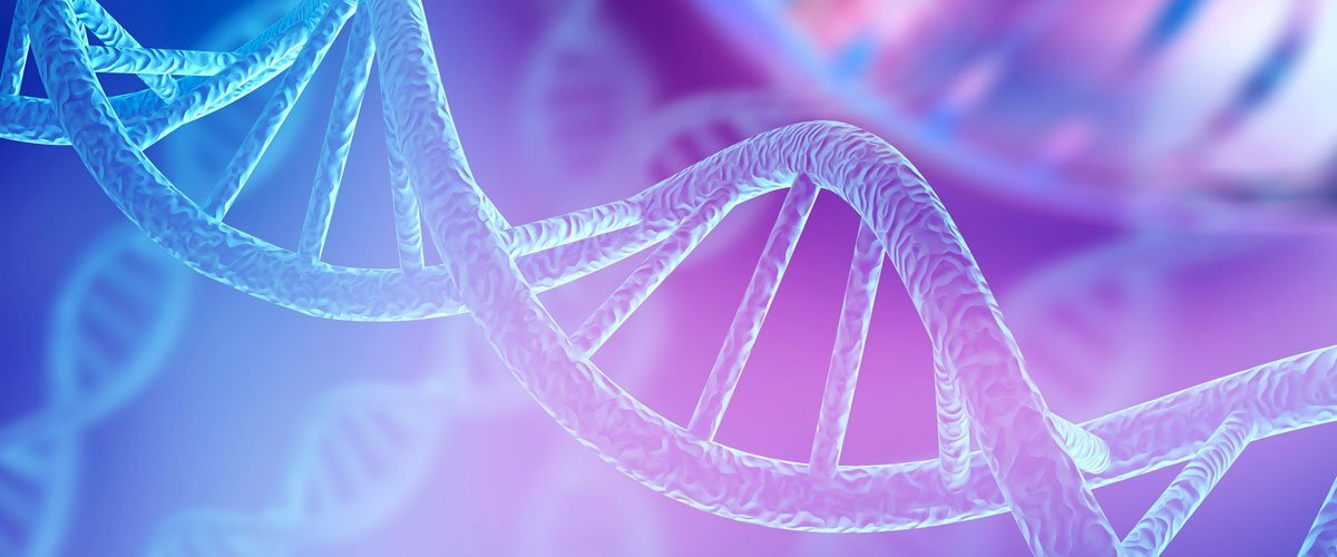 Ауткроссинг