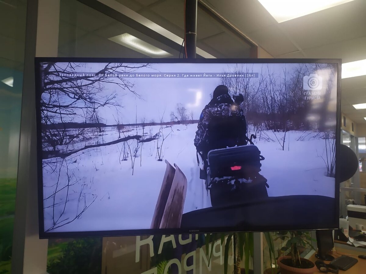 Попал в телевизор со своими видео о путешествиях. Рассказываю как и что это  дает | Skazka_Travel | Дзен