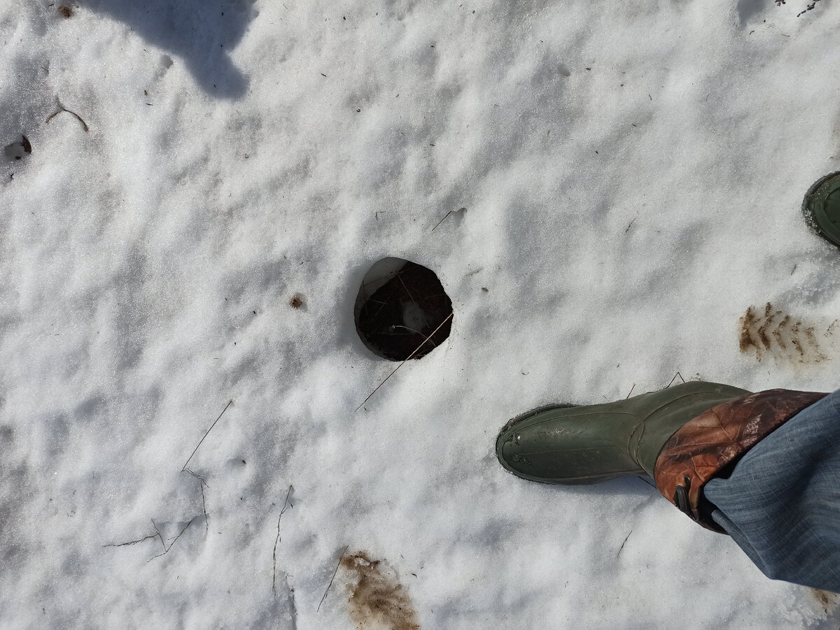 Странные круги на снегу