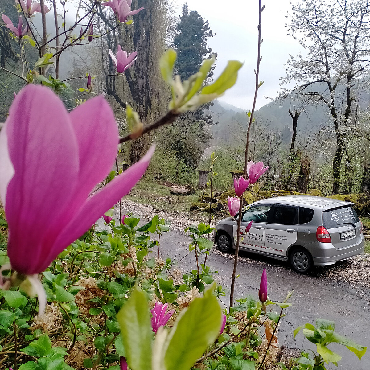 Как взять машину напрокат в Абхазии и стоит ли это делать? | Душевный ...