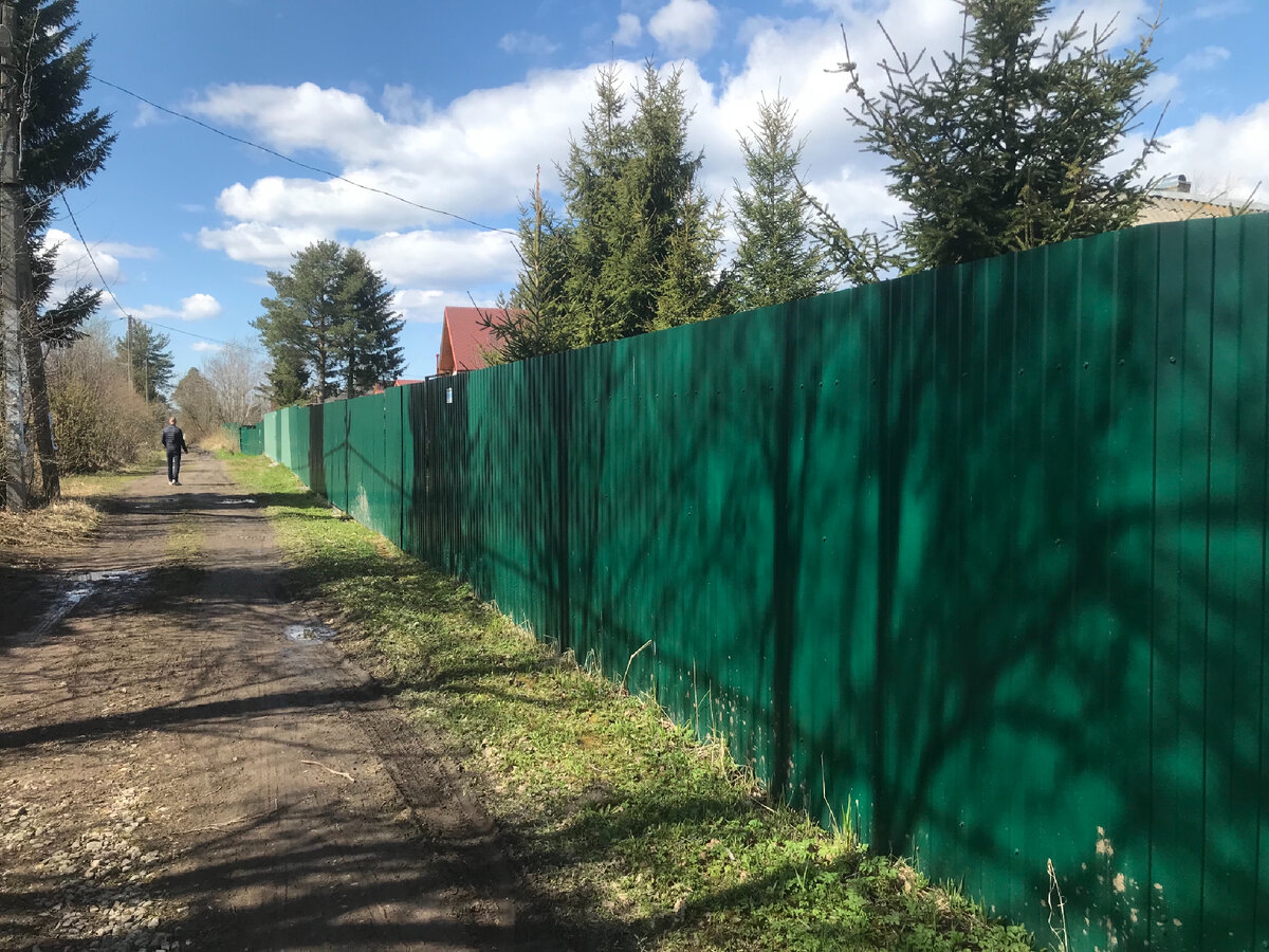 Зелёная змея из профлиста 