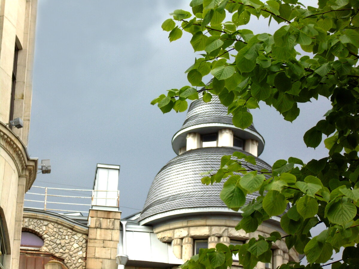 Фото автора