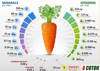 Как сожать и выращивать морковь