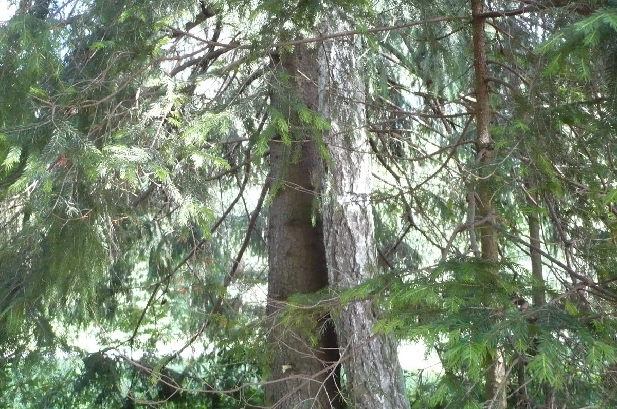 фото из личного архива 