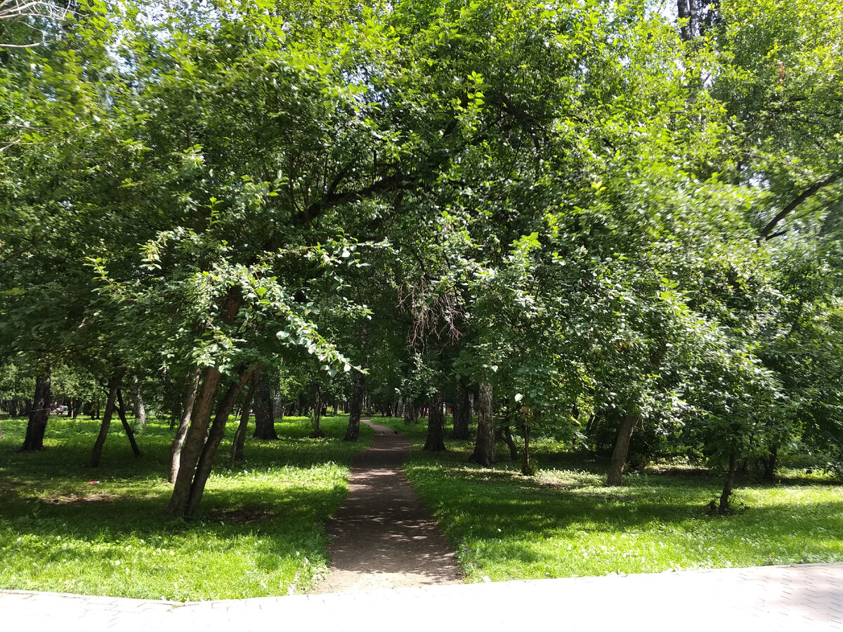 Парк Березовая роща, г. Новосибирск