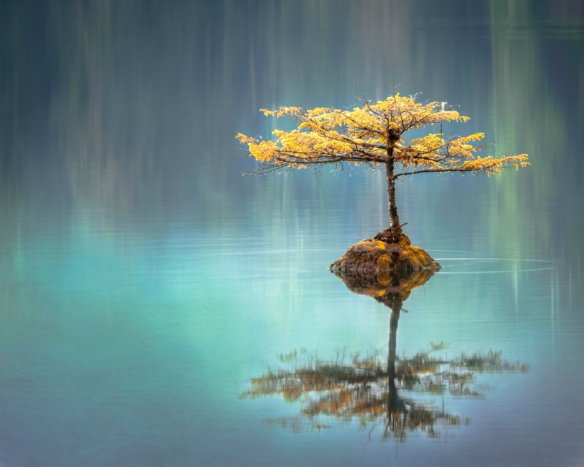 Feel calm and enjoy learning English =) Photo by Faye Cornish on Unsplash