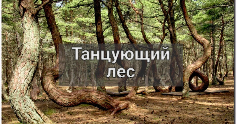 Самое удивительное место заповедника