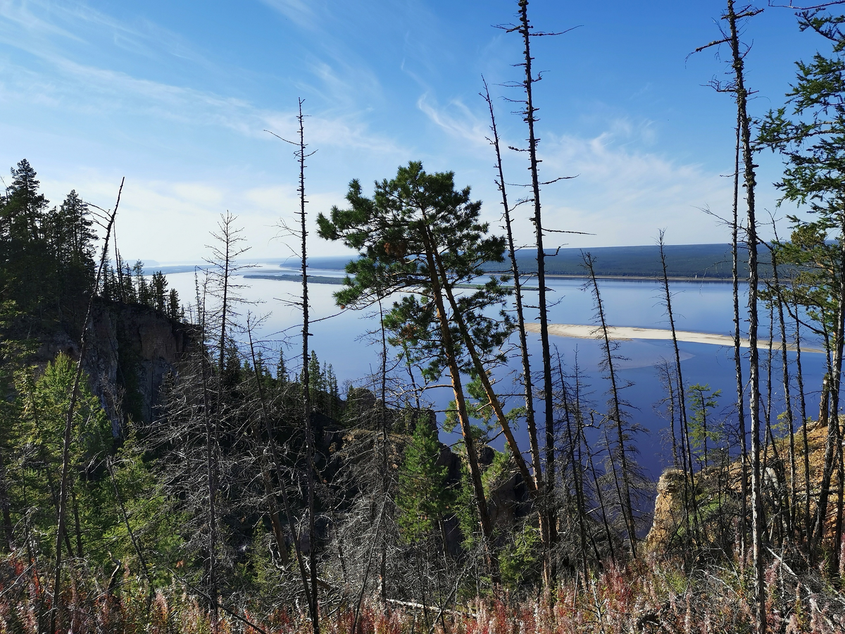 Еланка якутия фото. Красивые места хангаласского улуса. Река лена фото. Табагинская трасса фото. Табага.
