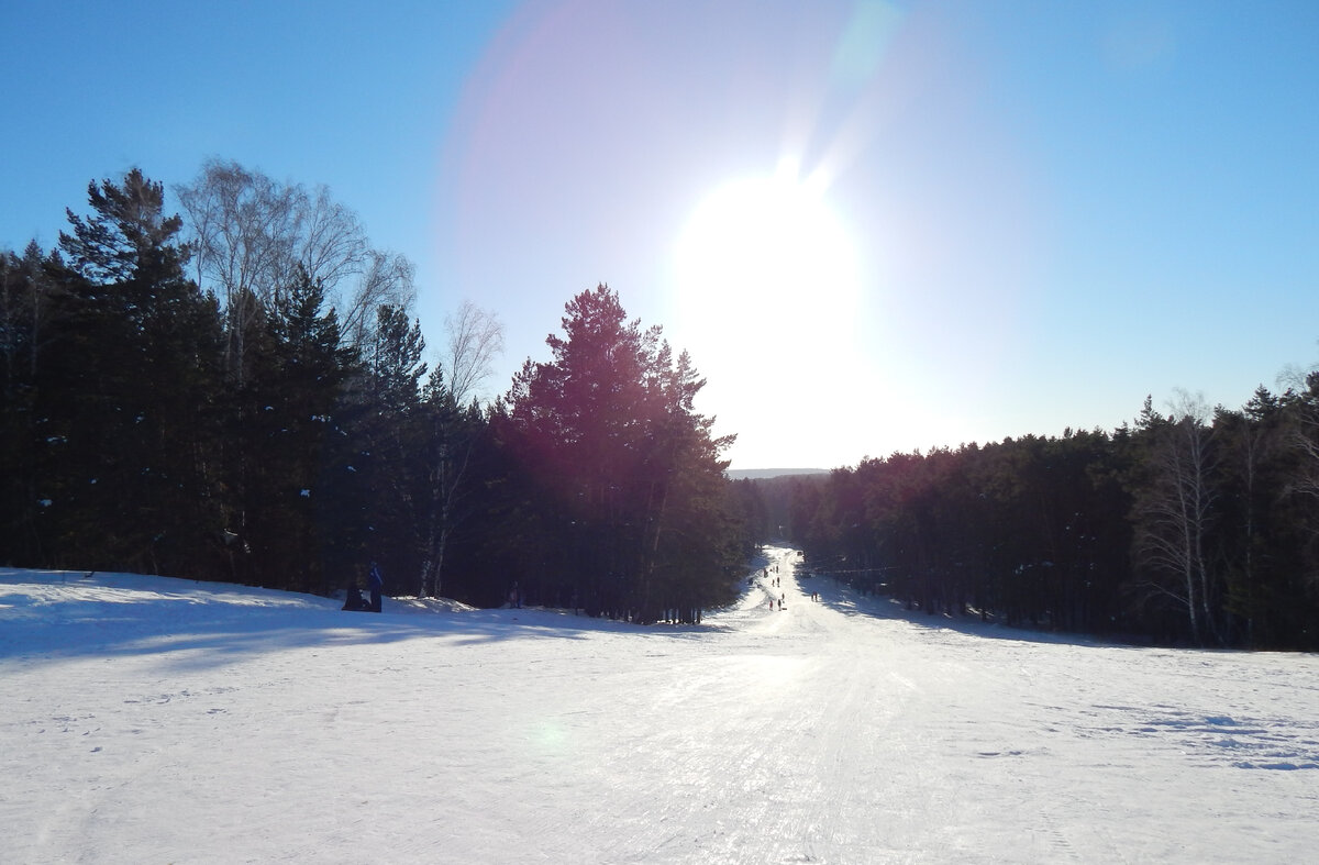 Эта горка в бору