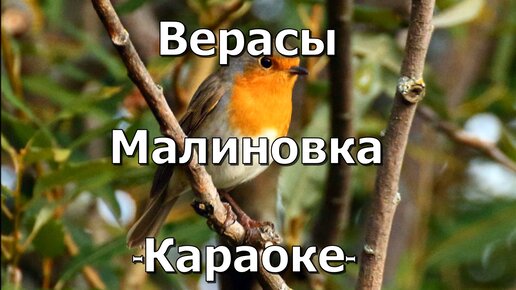 Верасы – Малиновка (Караоке) | Musical Melody & Udivimka | Дзен