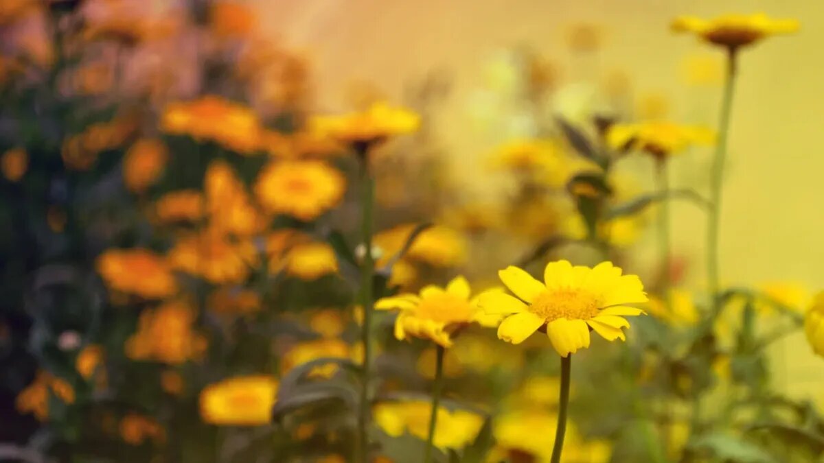 В этот день последствия весенних талых вод сходили на нет. Фото: Pxfuel.com 