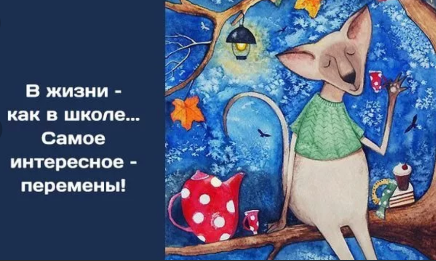 Картинка из сети