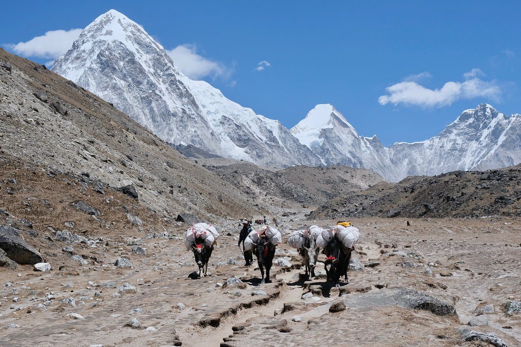 Himalaya Pumori 8x44 2