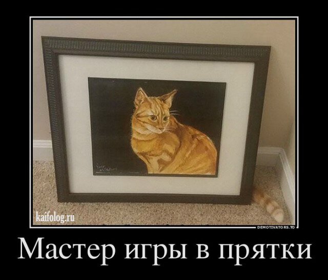 Настроение на связи