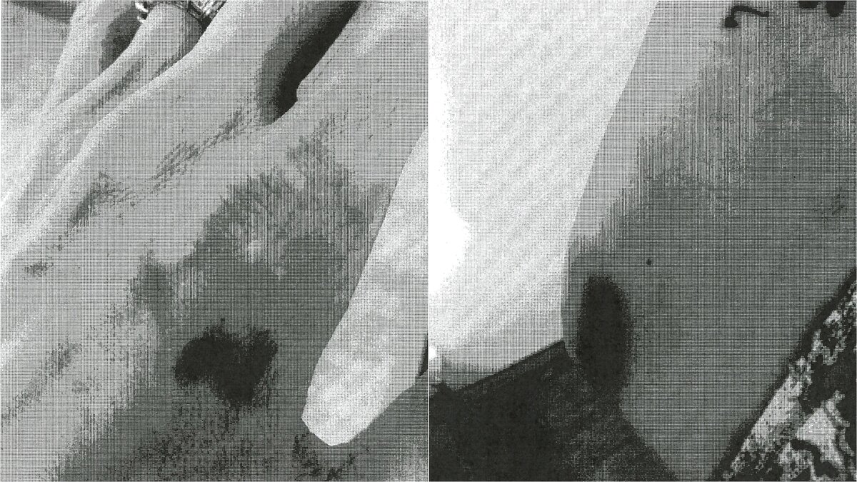    Анджелина Джоли показала синяки после драки с Брэдом ПиттомФото из архива ФБР
