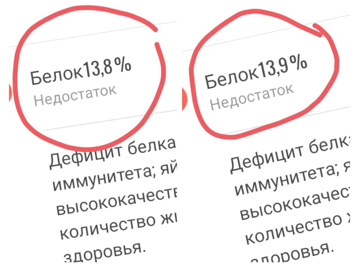 Содержание белка в организме.