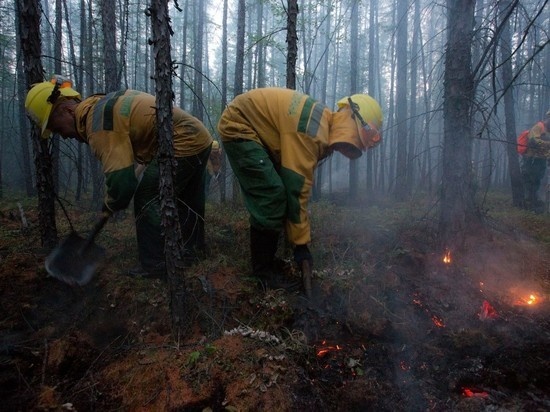     Фото: aviales.ru