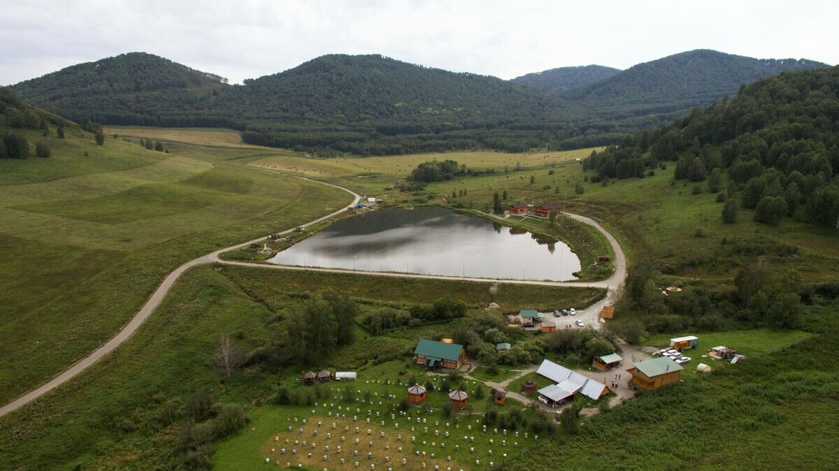    Пасека "Мёдом в ухо" на территории особой экономической зоны "Бирюзовая Катунь" в Алтайском крае© РИА Новости / Александр Кряжев