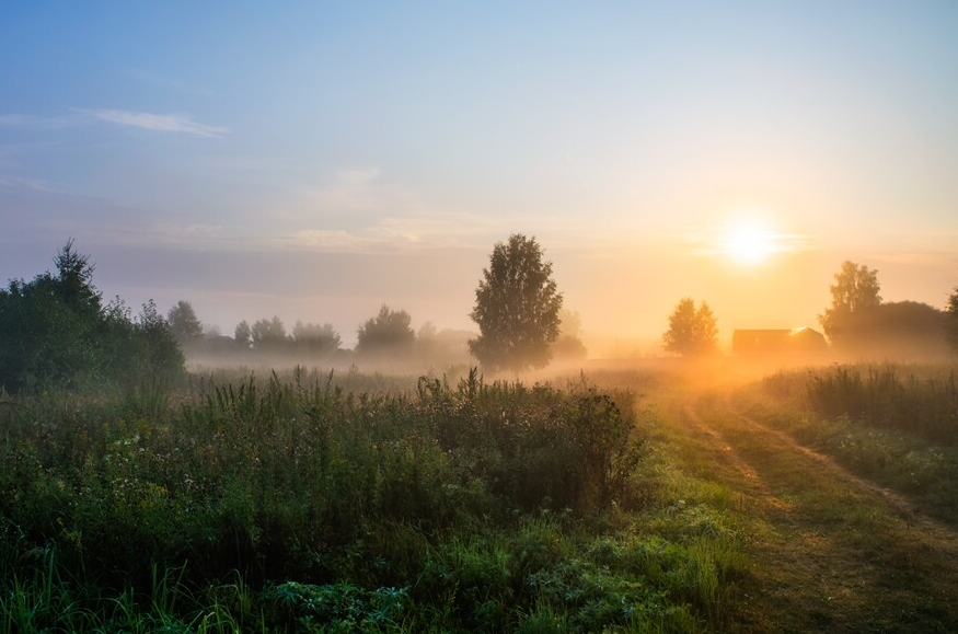 Изображение из интернета.