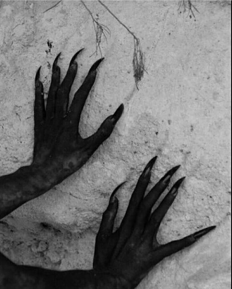 Гниль, когти и клыки. Мистический рассказ.