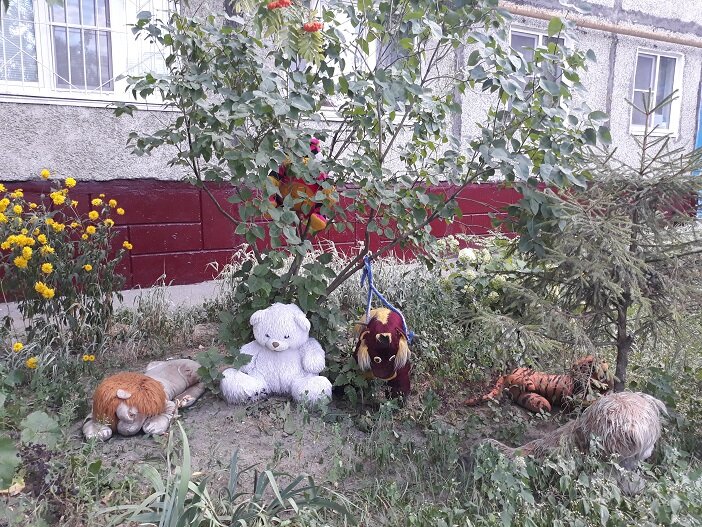 Нижний Новгород, 14 августа 2018