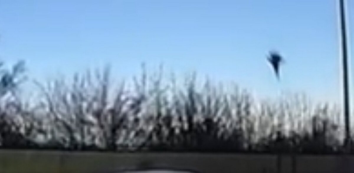     Судя по кадрам, самолет мог войти в штопор. Он летел вертикально вниз