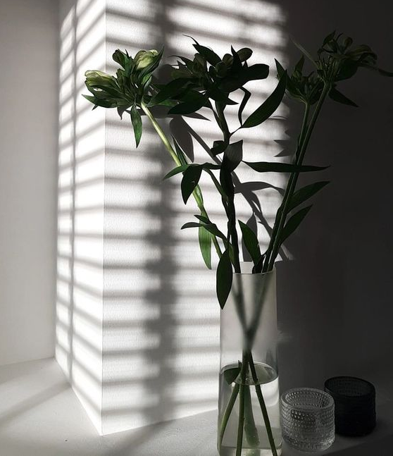 Источник изображения: Pinterest