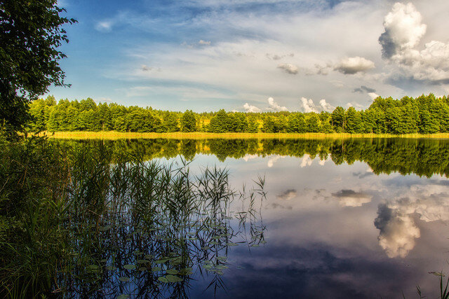 Торопецкий край Тверской области — центр экологического и паломнического туризма. Этот живописный край – родина XI Патриарха РПЦ Тихона. На территории торопецких лесов существует единственная в мире биостанция «Чистый лес», которая занимается возвращением в дикую природу животных сирот. Совсем недавно ЮНЕСКО назвало торопецкие территории, на которых растут дремучие сосны и ели, самым экологически чистым лесом в Европе.