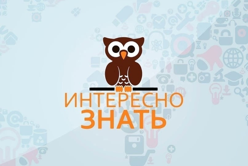 Особенности дополнительного профессионального образования