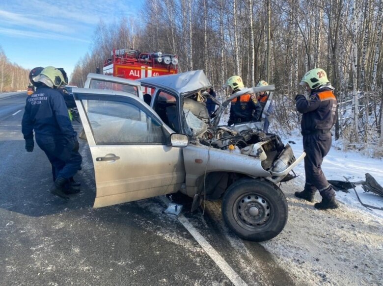    Фото: УМВД России по Томской области