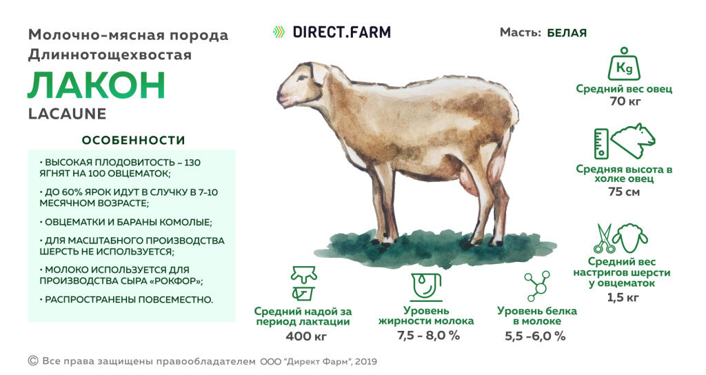 Картинка из интернета