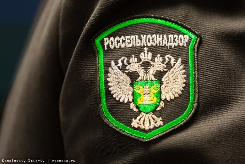    Фото: Дмитрий Кандинский / vtomske.ru