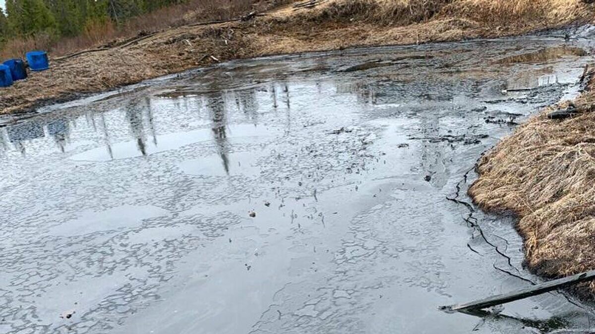    Место разлива нефтесодержащей жидкости в Коми© Фото : @_svetlana__radionova_/Instagram
