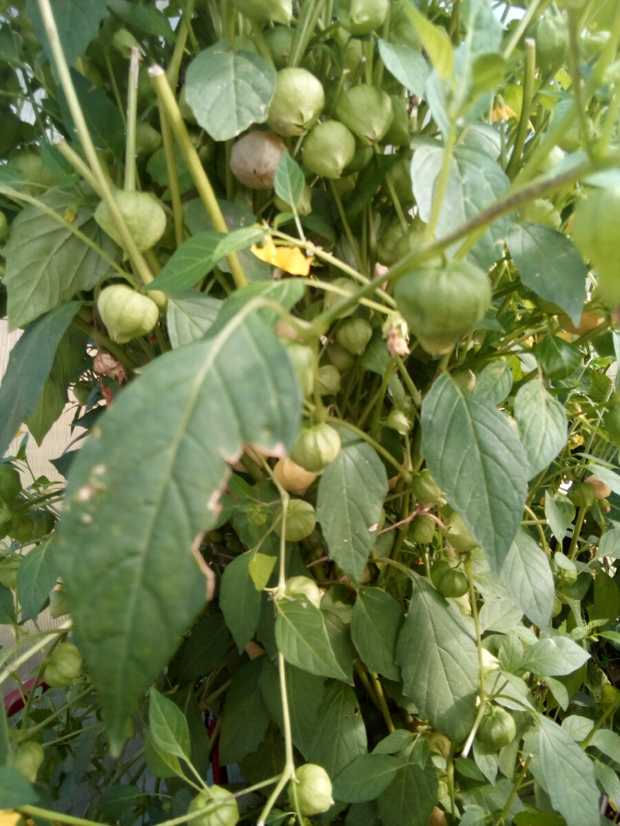 Конец августа 2022